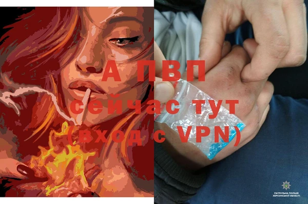 твердый Ладушкин