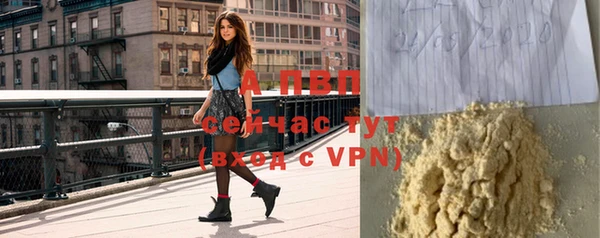 шишки Кукмор