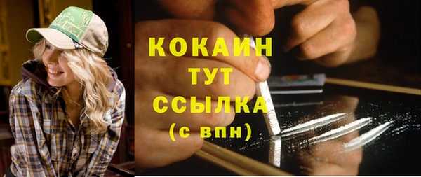 дурь Лабытнанги