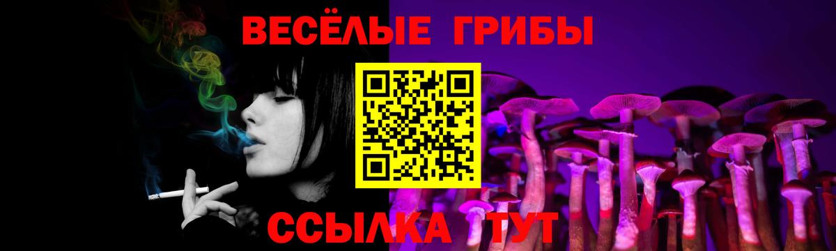 Саранск  Псилоцибиновые грибы MAGIC MUSHROOMS  Вход с VPN 