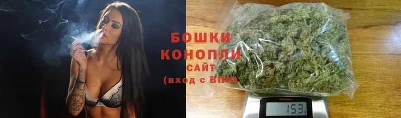 Бошки Шишки индика  где можно купить   Саранск 